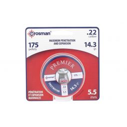 Crosman Destroyer Premier 5.5 mm